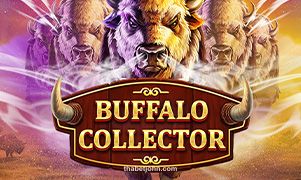 Hình ảnh trò chơi Buffalo Collector tại thabet